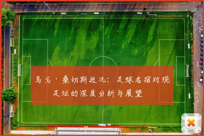 乌戈·桑切斯近况：足球名宿对现代足坛的深度分析与展望